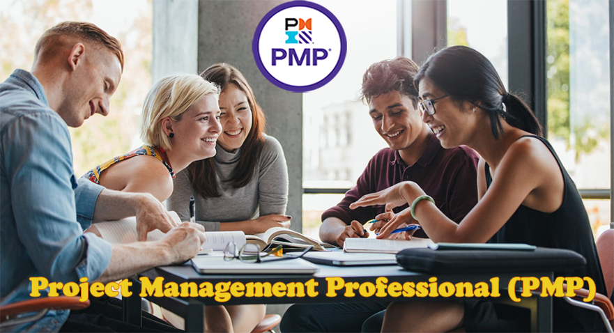 Project Management Professional (PMP)